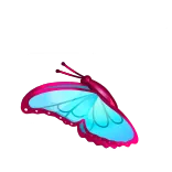 🦋