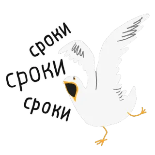 🤯 сроки burung, tenggat, putih, terbang telegram sticker