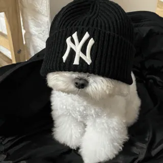 🌟 NY dog, beanie, New York Yankees, baseball, pet, hat, cute telegram sticker