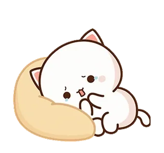 🥹 gato, fofo, triste, lágrimas, chorando, kawaii, mochi telegram sticker