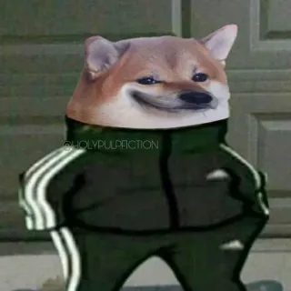 😏 @HOLYPULPACTION doge, 밈, 개, 아디다스, 트레이닝복, 동물 telegram sticker