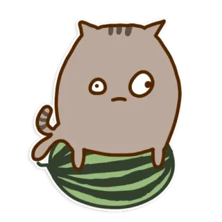 🍉 кот, арбуз, милый, мультик, стикер, животное telegram sticker