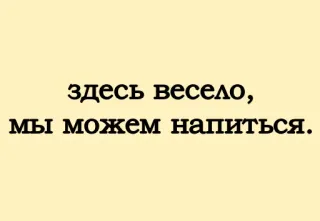 🍶 здесь весело, мы можем напиться. русский, текст, вечеринка, выпивка whatsapp sticker