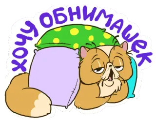 😊 хочу обнимашек gatto, cuscino, carino, assonnato, abbraccio, cartone animato telegram sticker