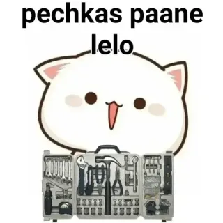 😋 pechkas paane lelo gato, herramientas, caja de herramientas, pechkas, paane whatsapp sticker