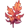 🍁