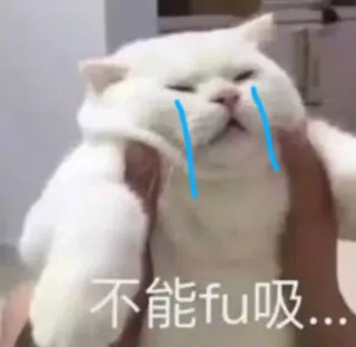 😑 不能fu吸... gato, llorar, meme, gracioso, triste telegram sticker