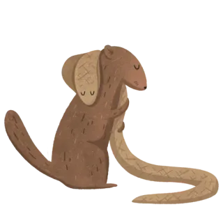 🤗 dog, cute, animal, pet, sleepy, blanket telegram sticker