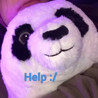 🥺 Help :/ panda, ayuda, peluche, lindo telegram sticker