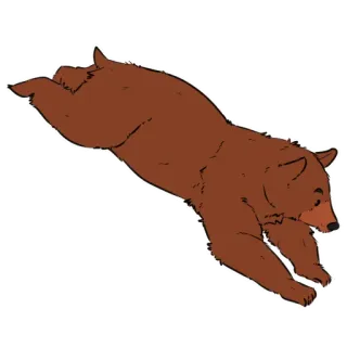 💨 หมี, สัตว์, สัตว์เลี้ยงลูกด้วยนม, สัตว์ป่า, หมีสีน้ำตาล, การ์ตูน, กระโดด telegram sticker