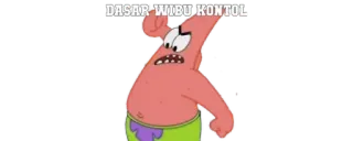 🔰 Patrick Star Spongebob Squarepants DASAR WIBU KONTOL cartoon, insult, offensive, meme, animated telegram sticker