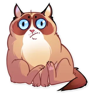 😕 Grumpy Cat gato, rabugento, animal, meme, fofo, desenho animado whatsapp sticker