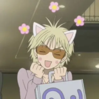 😽 Anime, Katzenohren, Süß, Kawaii, Fröhlich telegram sticker