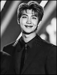 🗝 RM RM, BTS, K-Pop, Hoyuelos, Sonrisa, Retrato, Blanco y Negro whatsapp sticker
