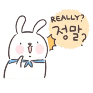 🐰 REALLY?
정말? conejo, pregunta, lindo, animal, coreano, realmente whatsapp sticker