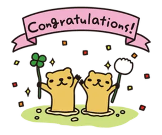 🥳 Congratulations! parabéns, celebração, sucesso, fofo, desenho animado, animais, sorte telegram sticker