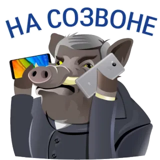 📲 НА СОЗВОНЕ pig, phone, business, talking, animal, communication telegram sticker