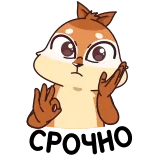 😓 다람쥐, 귀여운, ok, 제스처 telegram sticker