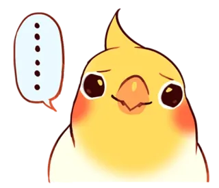 😐 chim, cockatiel, dễ thương, động vật, thú cưng, biểu tượng cảm xúc, sticker telegram sticker