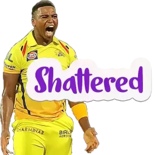 😊 Shattered Críquete, Esporte, Atleta, Celebração, Emoção whatsapp sticker