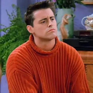 🤨 Joey Tribbiani Friends Joey Tribbiani, Friends, Sitcom, Portrait, Pull orange whatsapp sticker