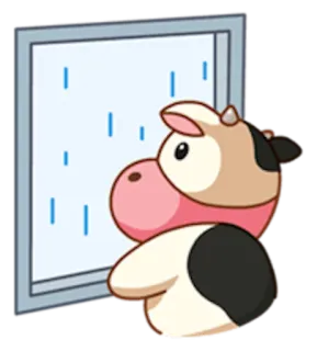 😔 krowa, smutny, deszcz, zwierzę, okno, kreskówka, słodki, pogoda telegram sticker