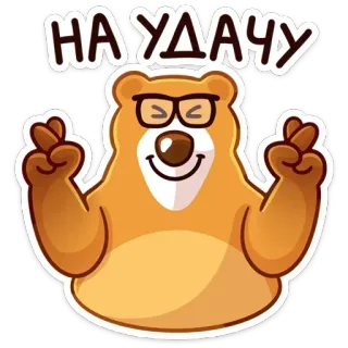 🍀 НА УДАЧУ 행운, 곰, 안경, 행운을 빌어요, 만화, 긍정적, 소원 telegram sticker