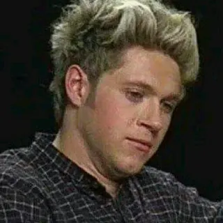 😢 Niall Horan Niall Horan, One Direction, singer, portrait, blonde hair, celebrity telegram sticker