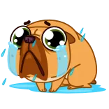 😭