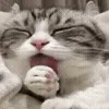 😝