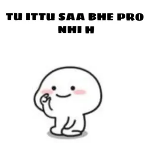 😏 TU ITTU SAA BHE PRO
NHI H telegram sticker