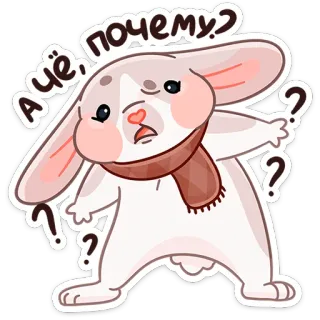 😧 А чё, почему? 토끼, 질문, 혼란스러움, 귀여운, 목도리, 동물 telegram sticker
