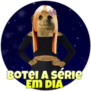 🕶 BOTEI A SÉRIE EM DIA suricate, engraçado, adesivo telegram sticker