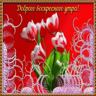 7️⃣ Доброго воскресного утра! whatsapp sticker