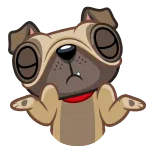 🐶