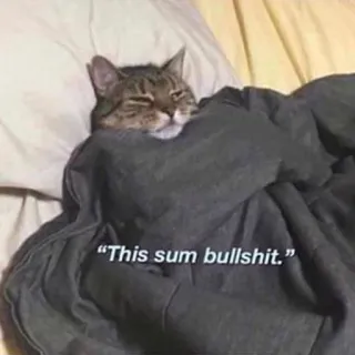 😒 This sum bullshit. kot, śmieszne, zwierzę, mem, łóżko, leniwy telegram sticker
