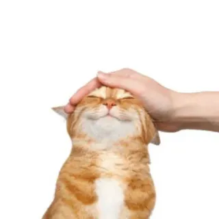 Больше стиков тут: @stikery4 whatsapp stickers