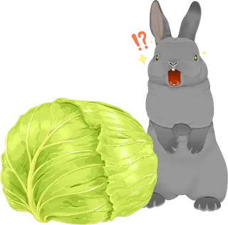 🐰 Kaninchen, Hase, Kohl, Gemüse, Tier, süß whatsapp sticker