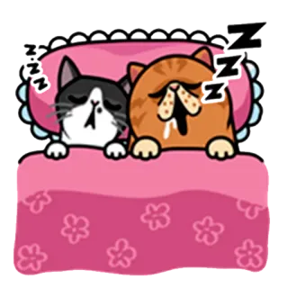 😴 zzz кошки, спящий, кровать, подушка, одеяло, мультфильм, милый whatsapp sticker