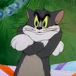 😤 Tom Cat Tom and Jerry, cartoon, cat, angry, Christmas, cartoon character, animated telegram sticker