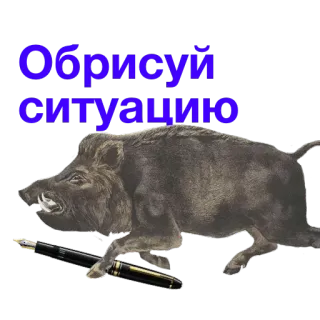 🔩 Обрисуй ситуацию jabalí, situación, bolígrafo, escritura, animal telegram sticker