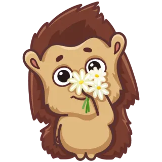 🌹 hedgehog, flowers, cute, animal, nature telegram sticker