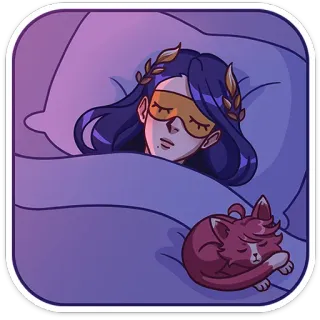 😴 นอน, แมว, กลางคืน, หมอน, ผ้าห่ม, เวลานอน, พักผ่อน, ฝัน whatsapp sticker