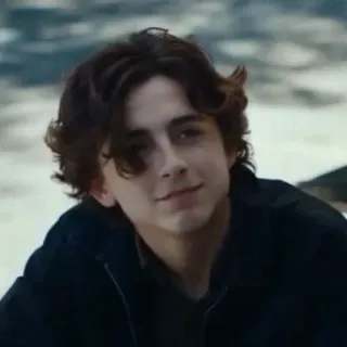 🙃 Timothée Chalamet นักแสดง, ภาพเหมือน, คนดัง, ผู้ชาย, คน telegram sticker