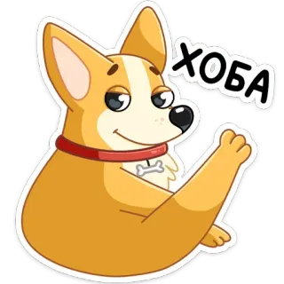 🥎 ХОБА corgi, cachorro, animal, desenho animado, fofo, хоба telegram sticker