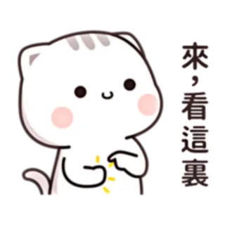 👊 來, 看這裏 cat, cute, animated, sticker, chinese telegram sticker