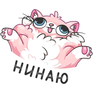 💁‍♂️ кот, розовый, пушистый, милый, наклейка, мультфильм whatsapp sticker
