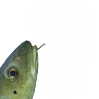 👍 fish, fishing, hook, animal, sea, ocean whatsapp sticker