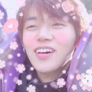 😅 carino, kpop, ragazzo, cuore, fiore, coniglio telegram sticker