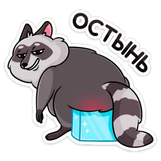 😏 ОСТЫНЬ rakun, es, santai, mendinginkan, lucu, binatang, kartun telegram sticker